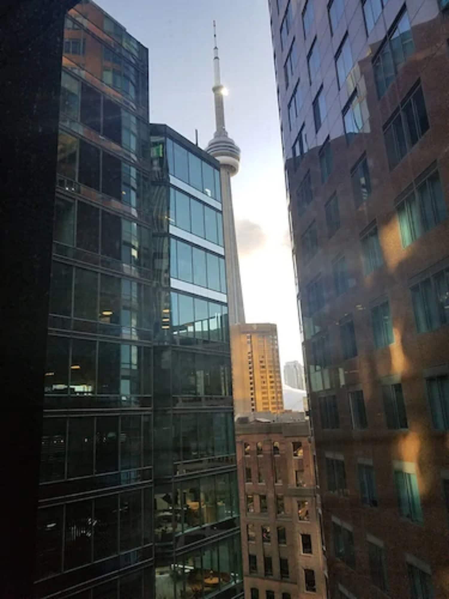 The Strathcona Hotel Toronto Eksteriør bilde